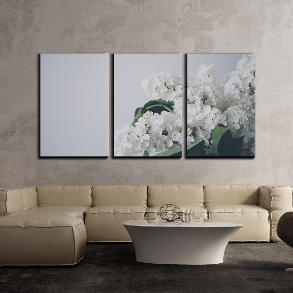 Wall26 - 3 Piece White Flower Canvas Wall Art Set - Modern Framed Home Decor - Stretched & Ready to Hang - 24