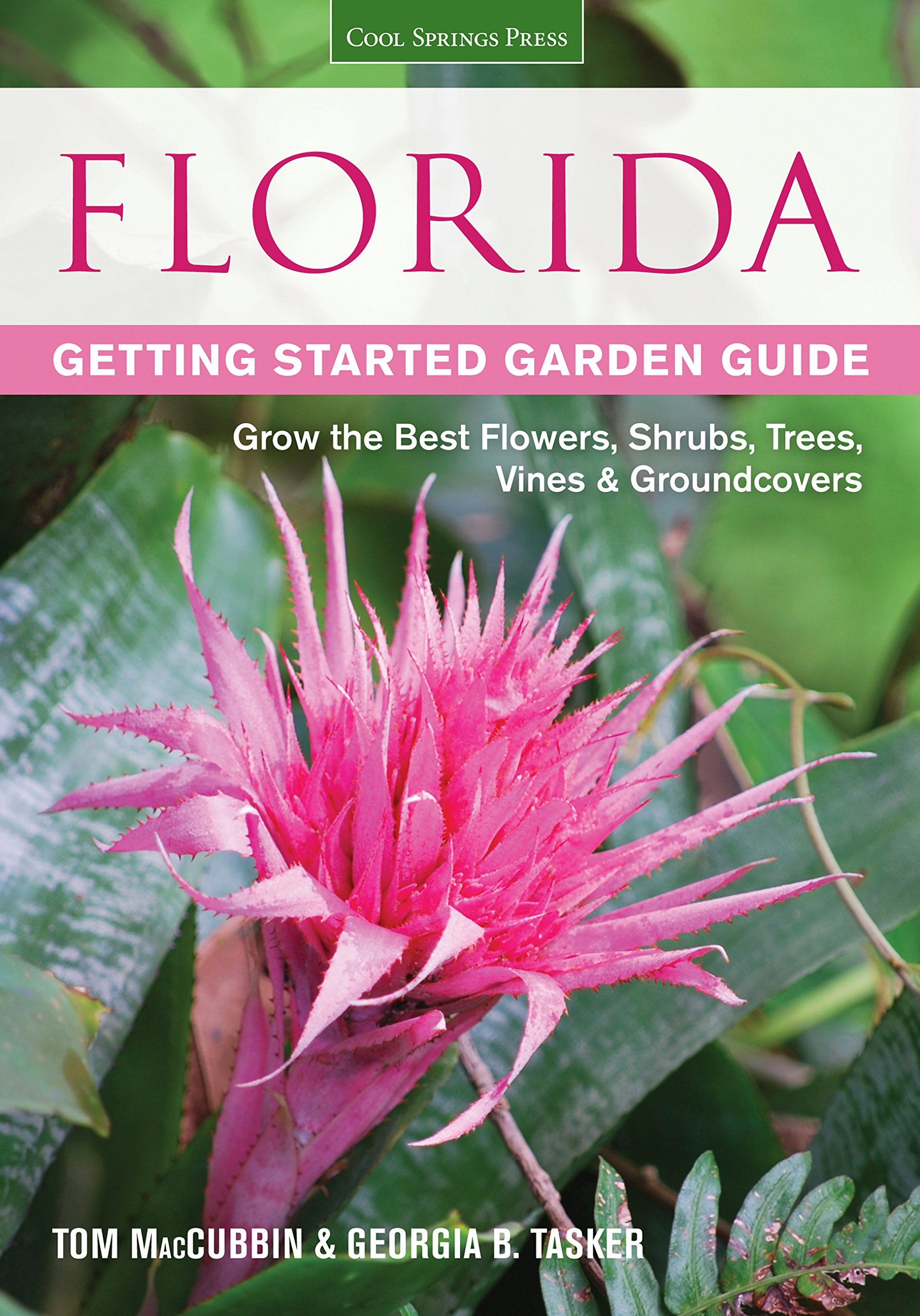 Florida Gardening Guide: Best Flowers, Shrubs, Trees, Vines & Groundcovers for Beginners | Perfect for Home Landscaping & Backyard Gardens (Garden Guides)