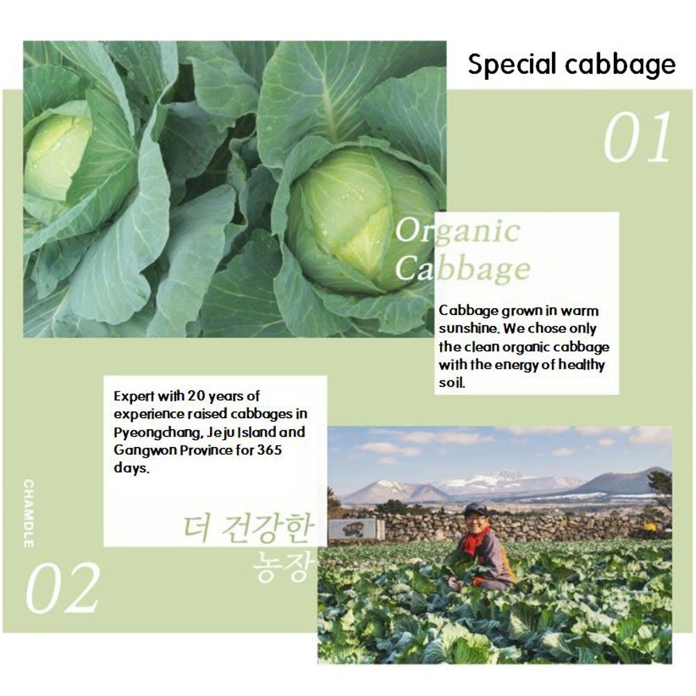 Organic Cabbage Juice Concentrate - 10 Pack (100ml Each) | Healthy Vegetable Drink for Kids & Adults | Perfect Gift for Health-Conscious Parents | Great for Detox, Immunity Boost & Daily Wellness