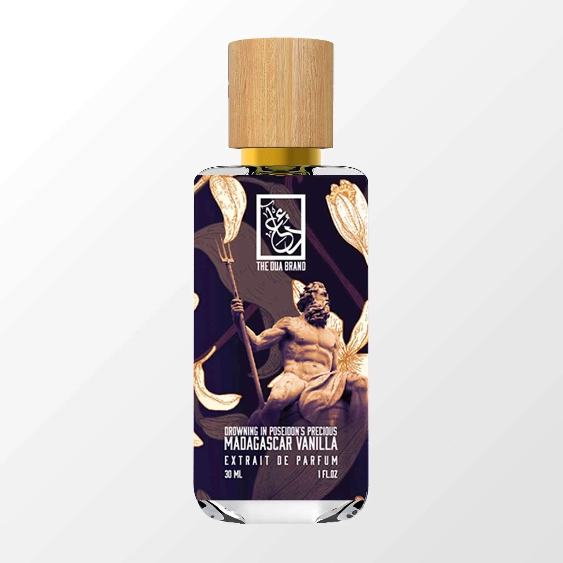 Premium Madagascar Vanilla Beans - Organic & Gourmet for Baking, Desserts & Coffee - Rich Aroma & Flavor for Home Chefs & Bakers