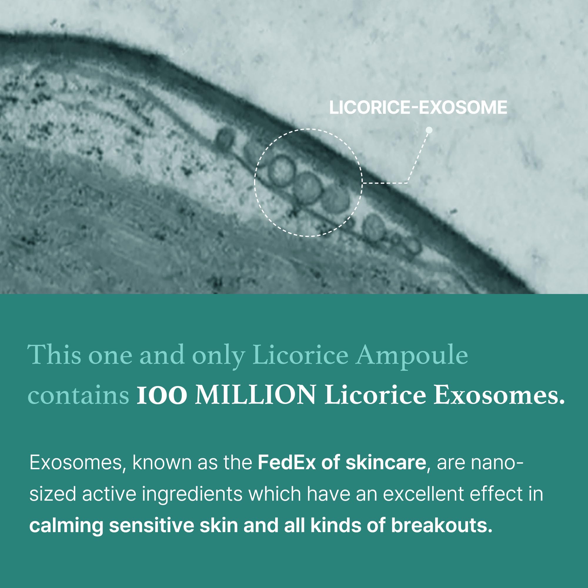 I'm from Licorice Soothing Ampoule - 73% Korean Licorice Extract with Exosome Technology, Non-Comedogenic, 1.01 Fl Oz - Calms Irritated Skin & Reduces Redness for Sensitive & Acne-Prone Skin