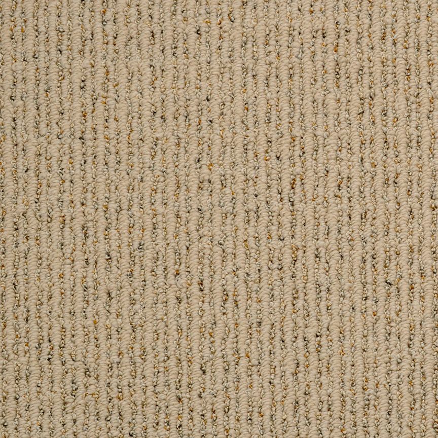 Caraway Spice