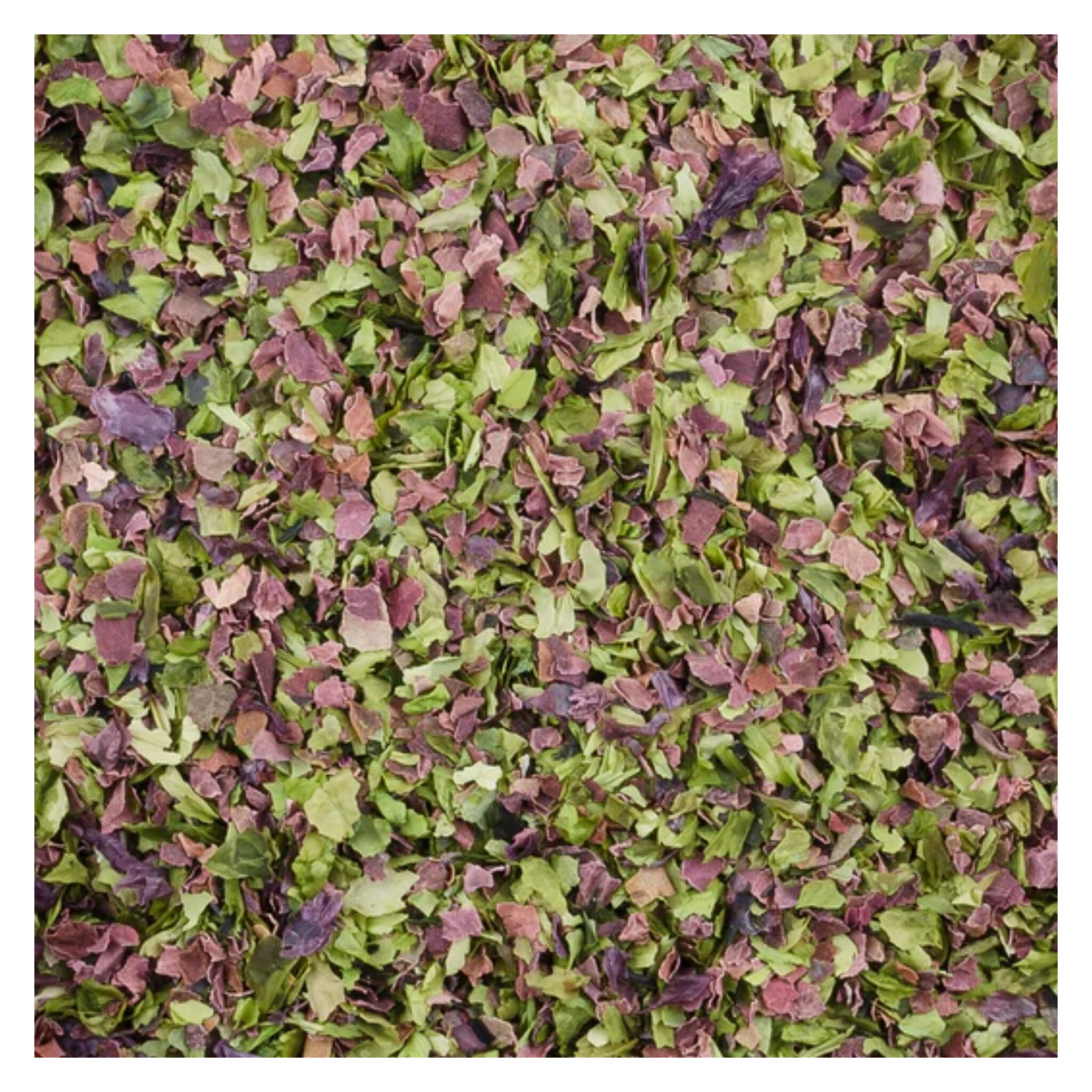 Organic Sea Vegetable Blend – Nutrient-Rich Superfood for Smoothies, Salads & Detox Drinks | Vegan, Gluten-Free, Non-GMO | Perfect for Health-Conscious Lifestyles
