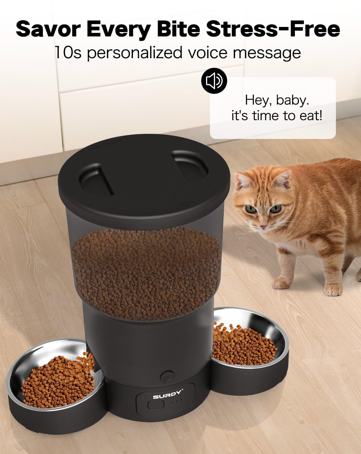 Smart Automatic Cat Feeder with 5G WiFi & App Control - 6L Food Dispenser for 2 Cats, Remote Feeding & Scheduling - Perfect for Travel, Workdays & Multi-Pet Homes