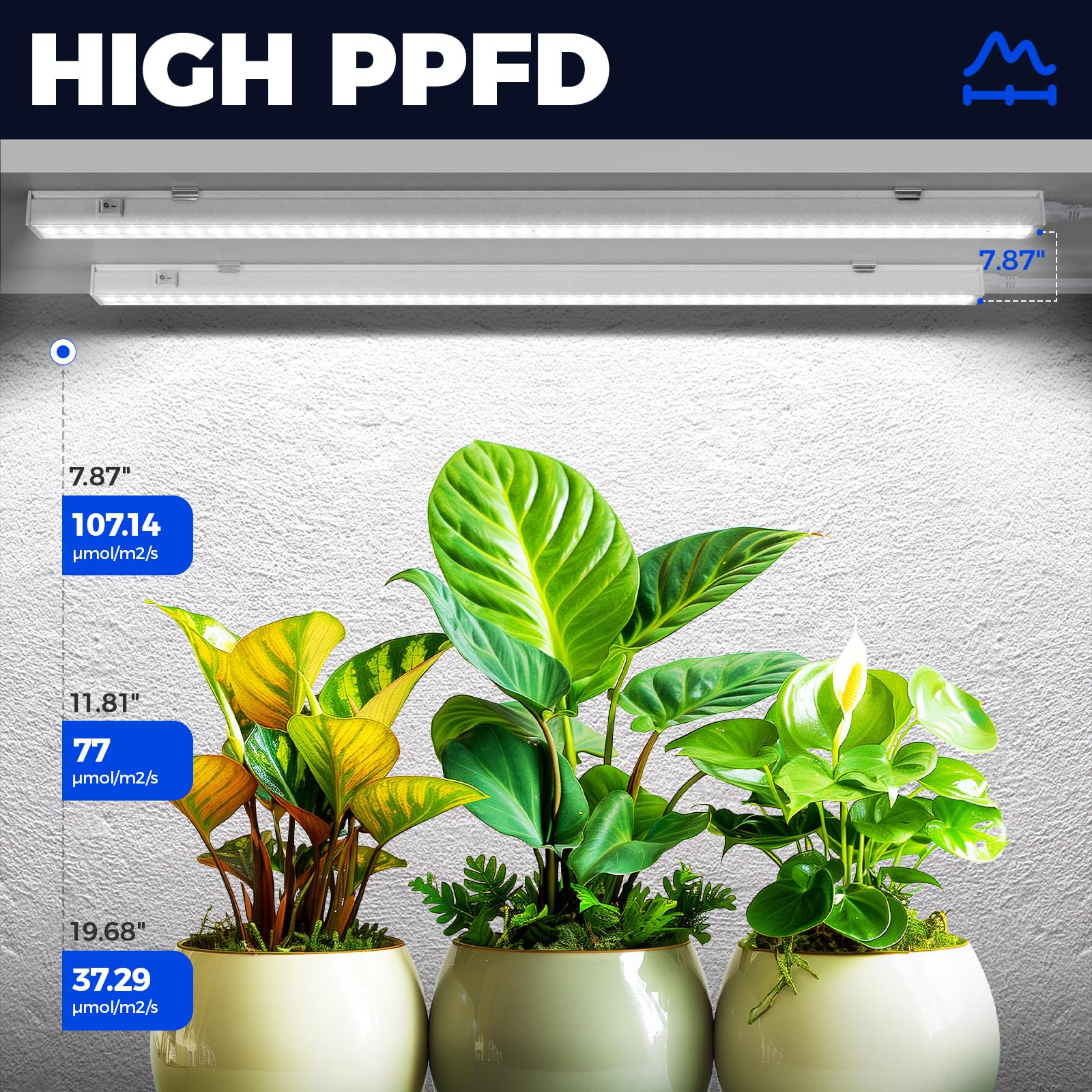 Barrina T5 LED Grow Lights 5000K Full Spectrum - 2ft 80W (8 Pack) for Indoor Plants, Hydroponics, Greenhouse & Seed Starting - Energy Efficient Plant Growing Bulbs Equivalent to 500W - Plug & Play Installation