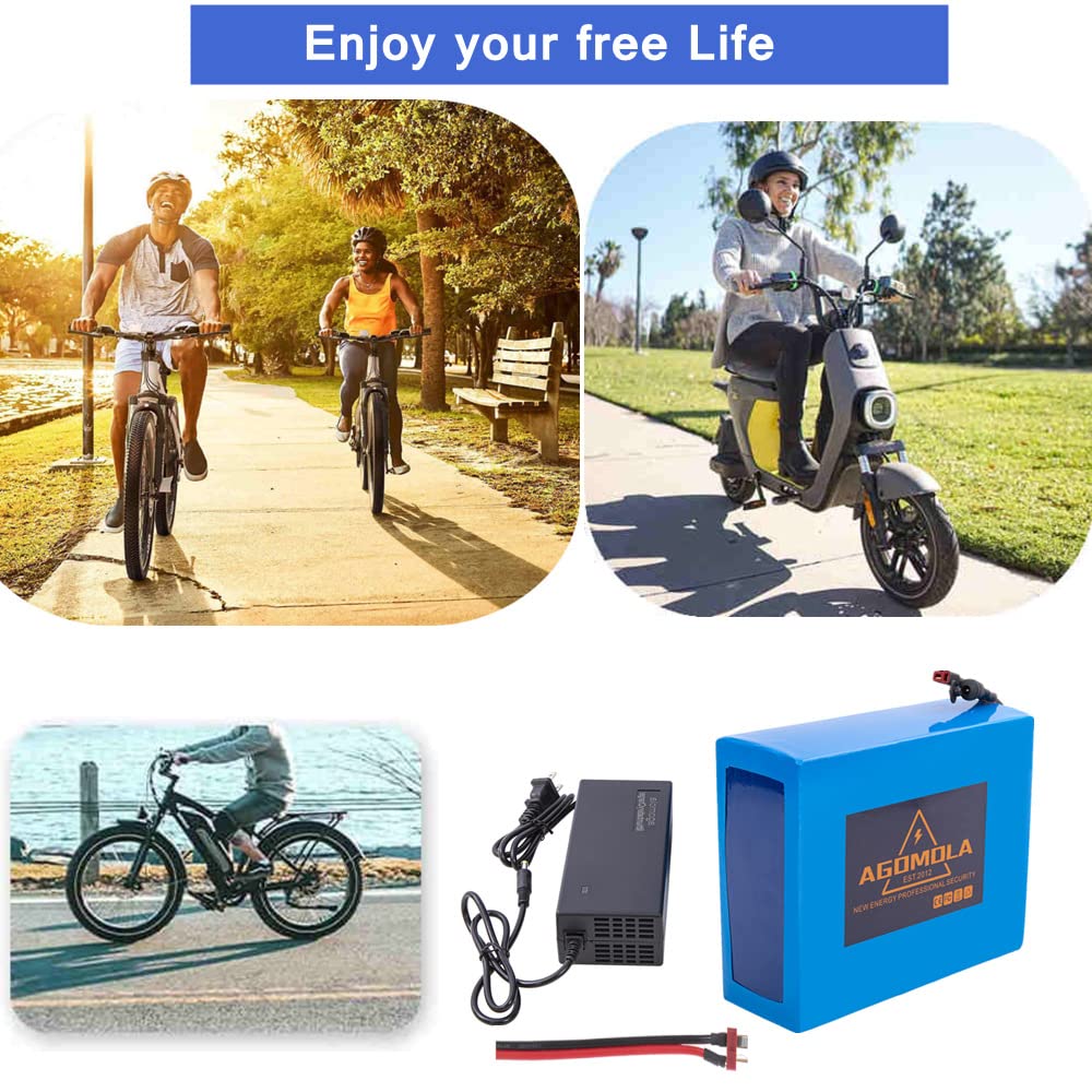 48V 20Ah Lithium Battery for Electric Bikes - Compatible with 100W to 1000W Motors, Includes Charger & BMS - Perfect for Commuting, Mountain Biking & Long-Distance Rides