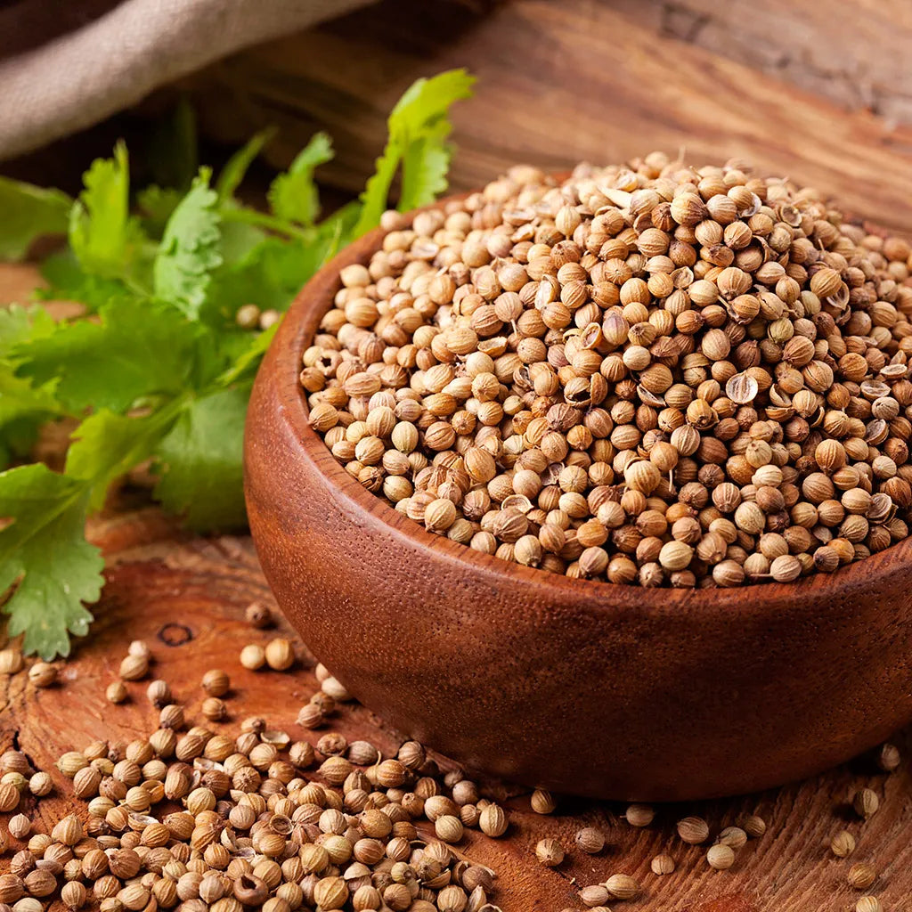 Organic Coriander Seeds for Cooking - 1oz Bulk Spice, Fresh & Aromatic - Perfect for Indian, Mexican & Middle Eastern Cuisine - Great for Curries, Soups & Homemade Spice Blends