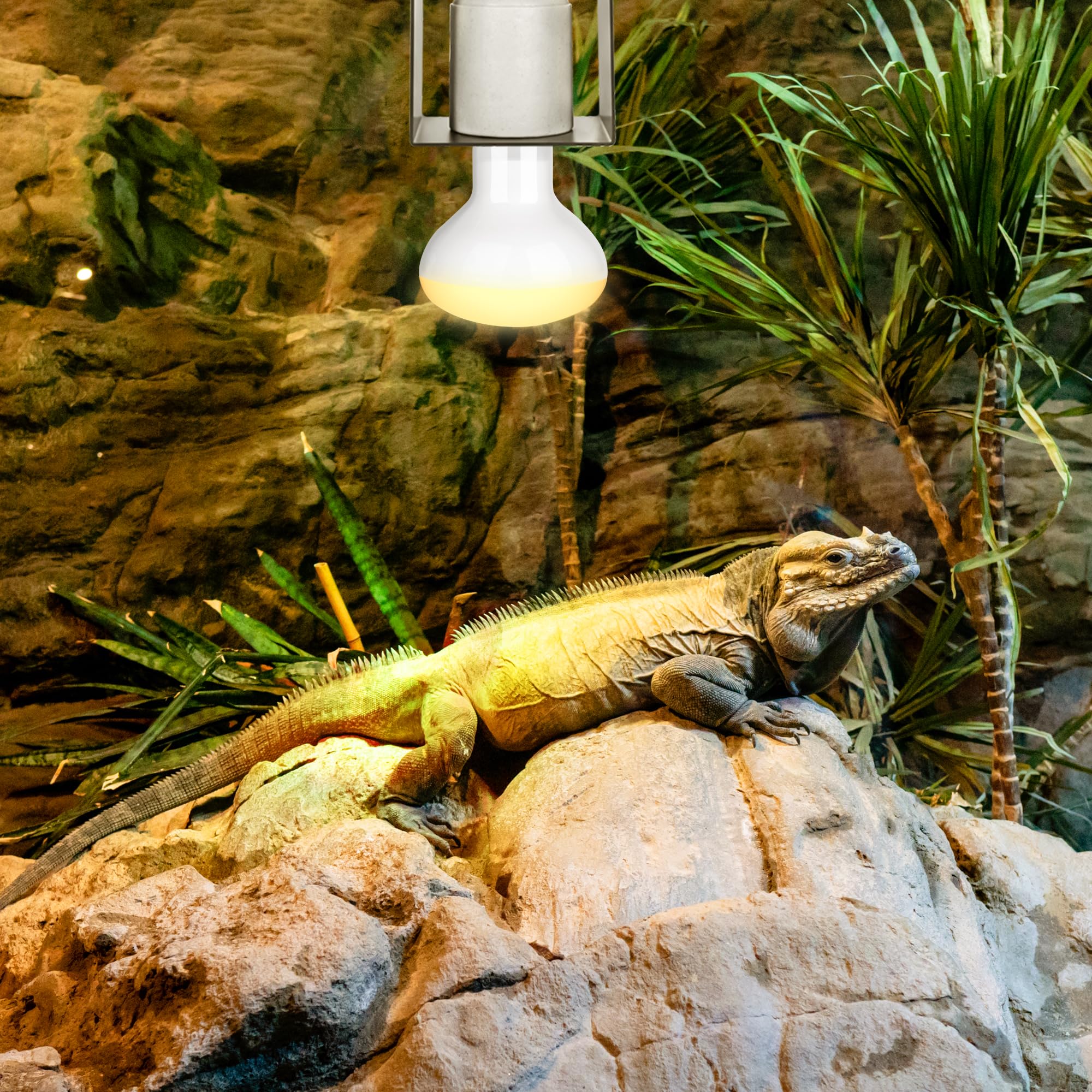 Ceramic Heat Lamp Holder for Reptile Terrariums - Durable Vivarium Light Fixture for Geckos & Lizards (Bulb Not Included) - Perfect for Reptile Habitats & Nighttime Heating