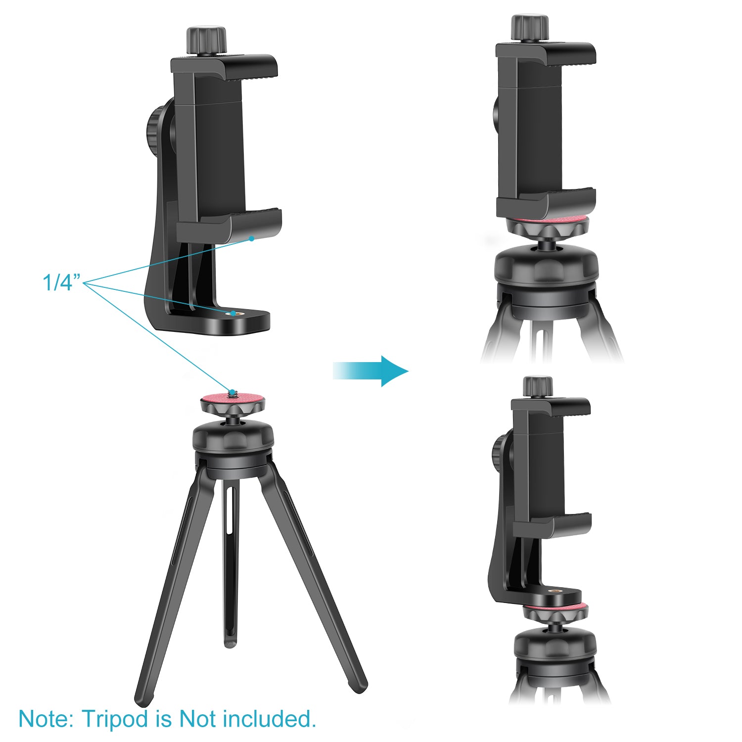 NEEWER Smartphone Tripod Mount Holder - 1/4 Inch Vertical Bracket for iPhone & Android Phones - Perfect for Vlogging, Live Streaming & Photography