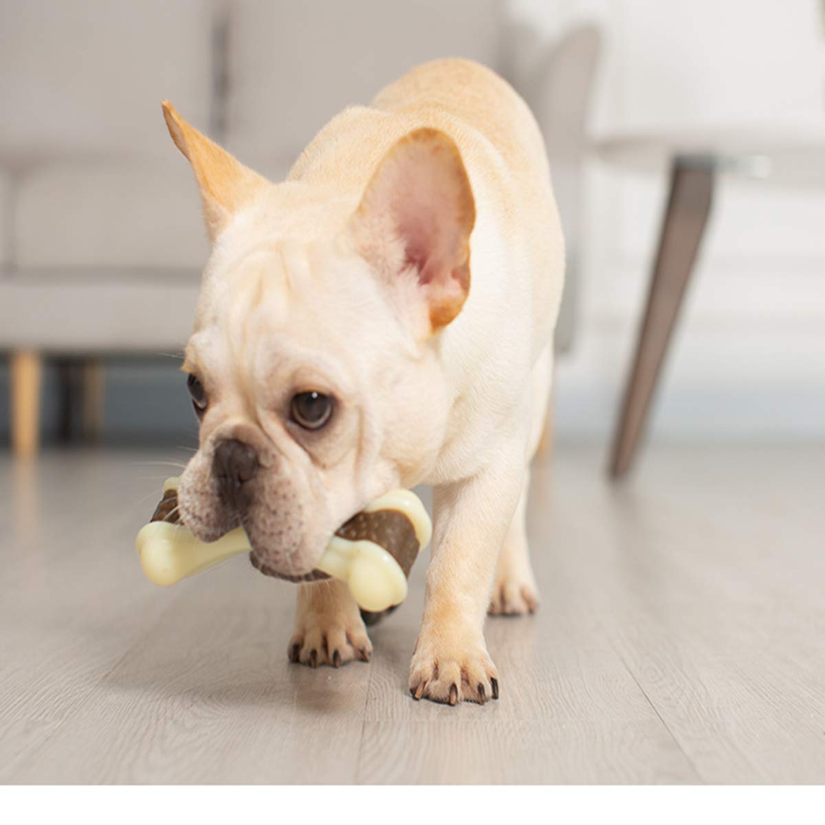 Durable Indestructible Dog Chew Toys for Aggressive Chewers - 2 Pack Beef Flavor Nylon Chew Bones for Large, Medium & Small Breed Puppies - Perfect for Teething, Boredom Relief & Dental Health
