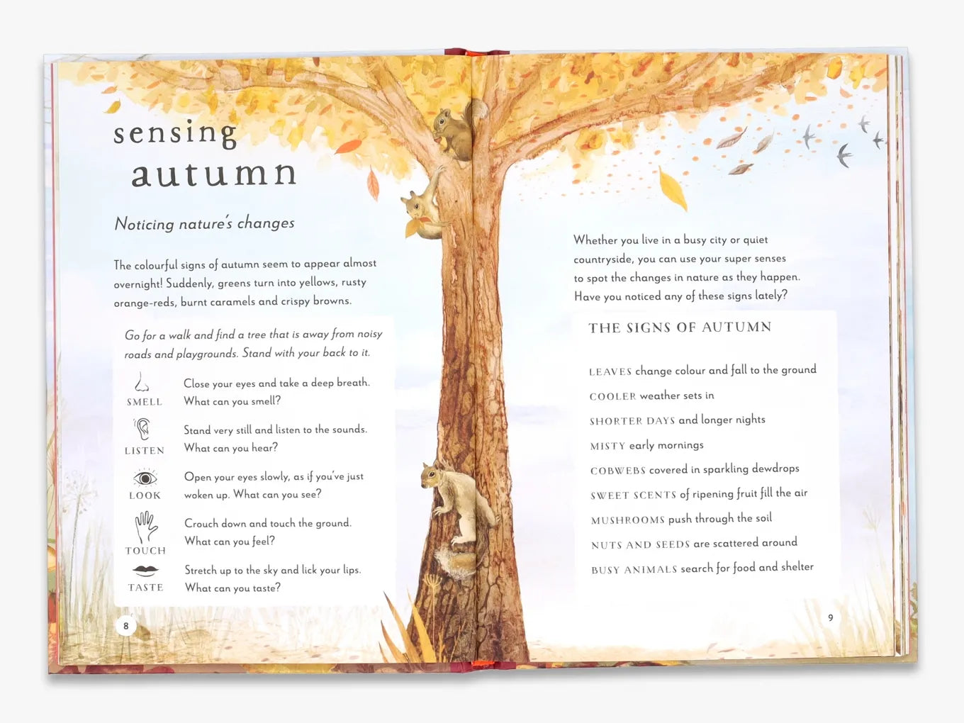 A Field Guide to Autumn - Nature Exploration Book for Fall Hiking & Outdoor Activities | Field Guide Series