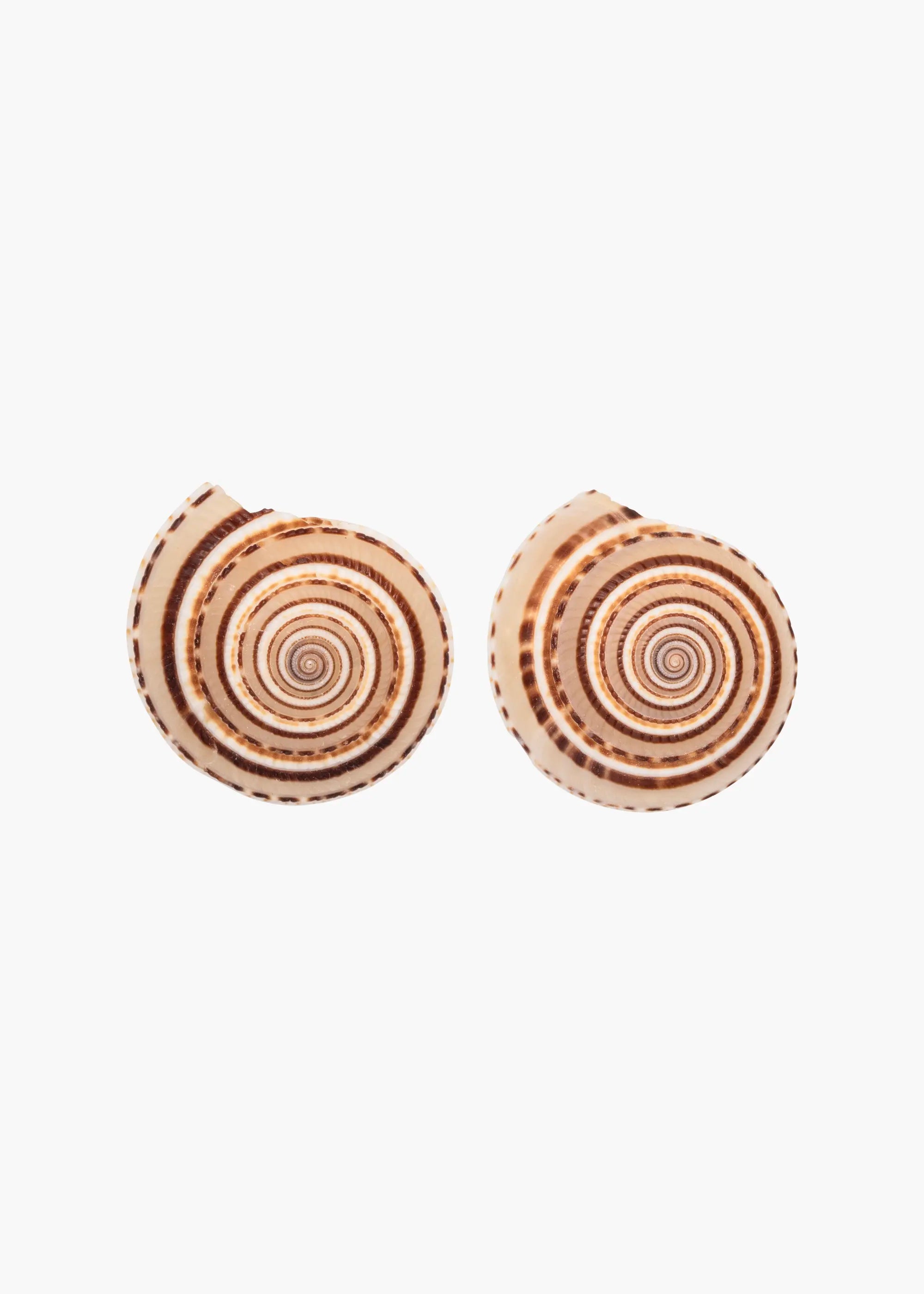 Perrin Elegant Sand-Colored Earrings for Women - Boho Chic Jewelry for Casual Wear & Special Occasions