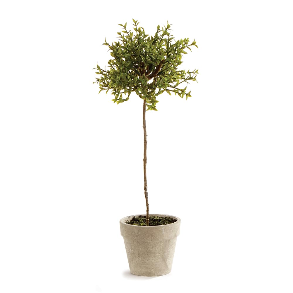 NAPA Home & Garden 13