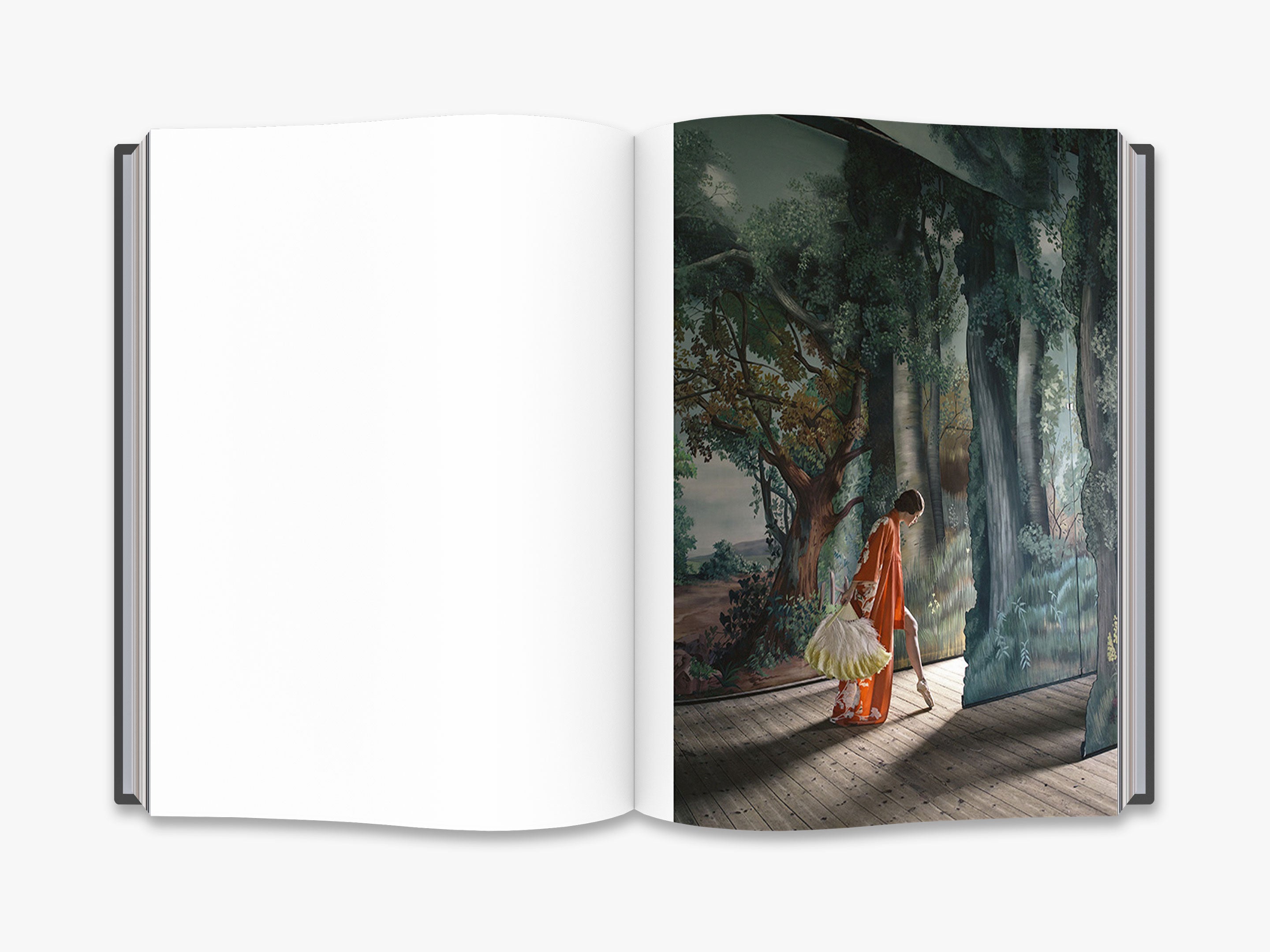 Anja Niemi: In Character - Art Photography Book for Collectors, Perfect for Home Decor & Coffee Table Display