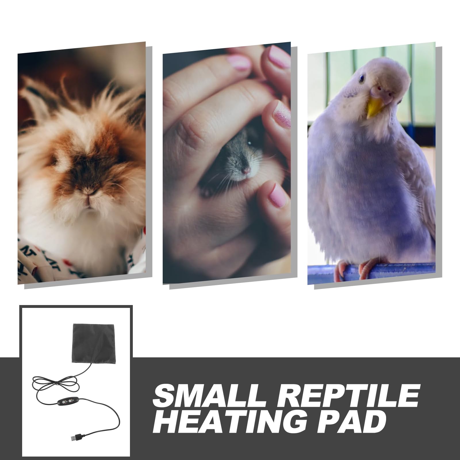 Electric Heating Pad for Small Pets - Hamster, Reptile, Parrot Terrarium Warmer Mat with Carbon Fiber Technology | Cozy Pet Cage Heated Blanket for Winter Warmth & Comfort