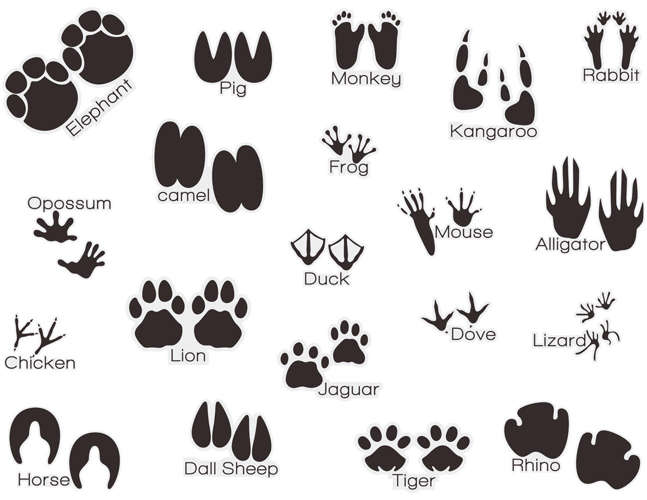 Animal Tracks Wall Decals (20-Piece Set) - Removable Peel & Stick Vinyl Stickers for Kids Room, Nursery, Classroom - Black Wildlife Footprint Decoration for Home Decor & Learning Activities