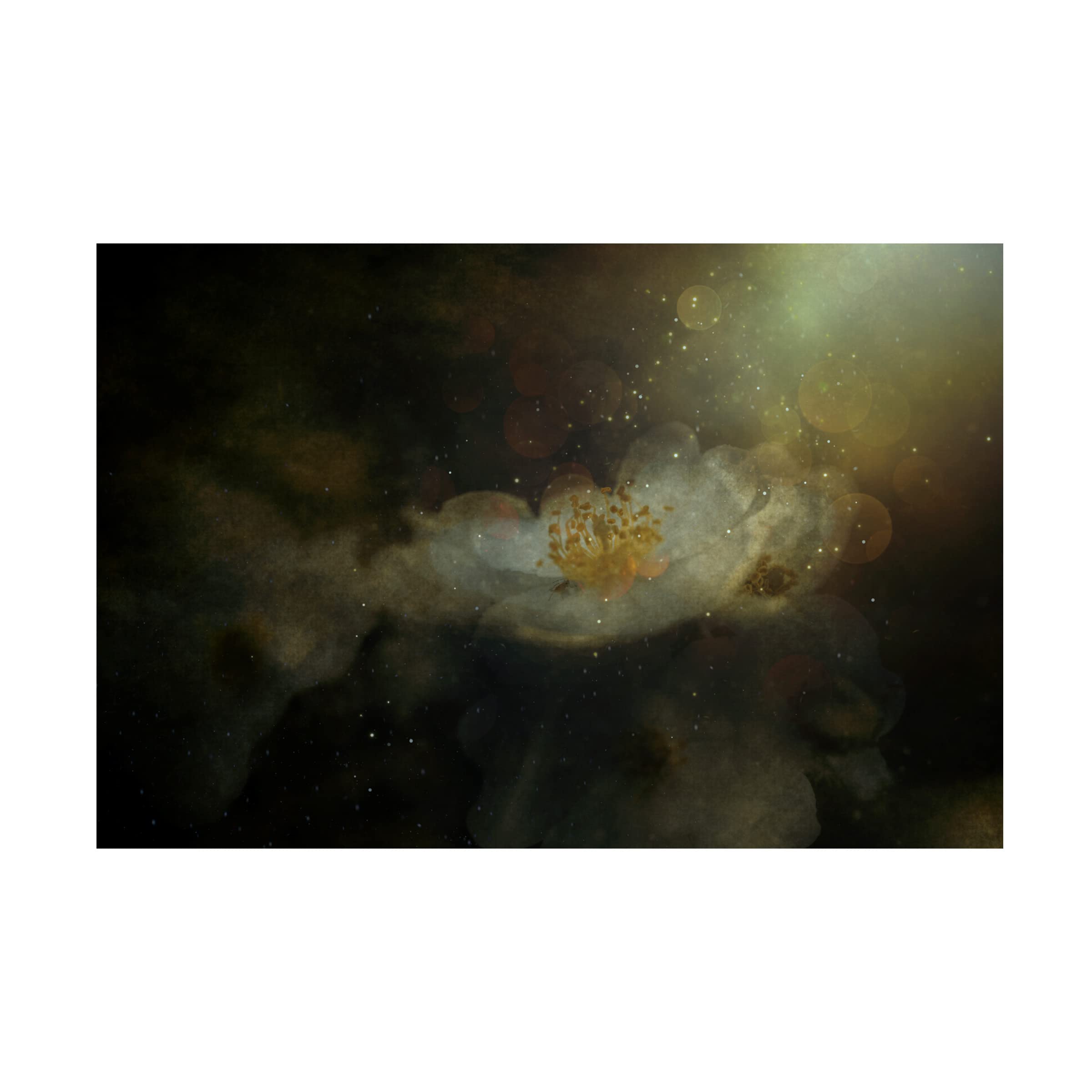 Trademark Fine Art 'Light Touches Softly' Canvas Wall Art by Cicek K?ral - Modern Abstract Painting for Living Room, Bedroom & Office Decor