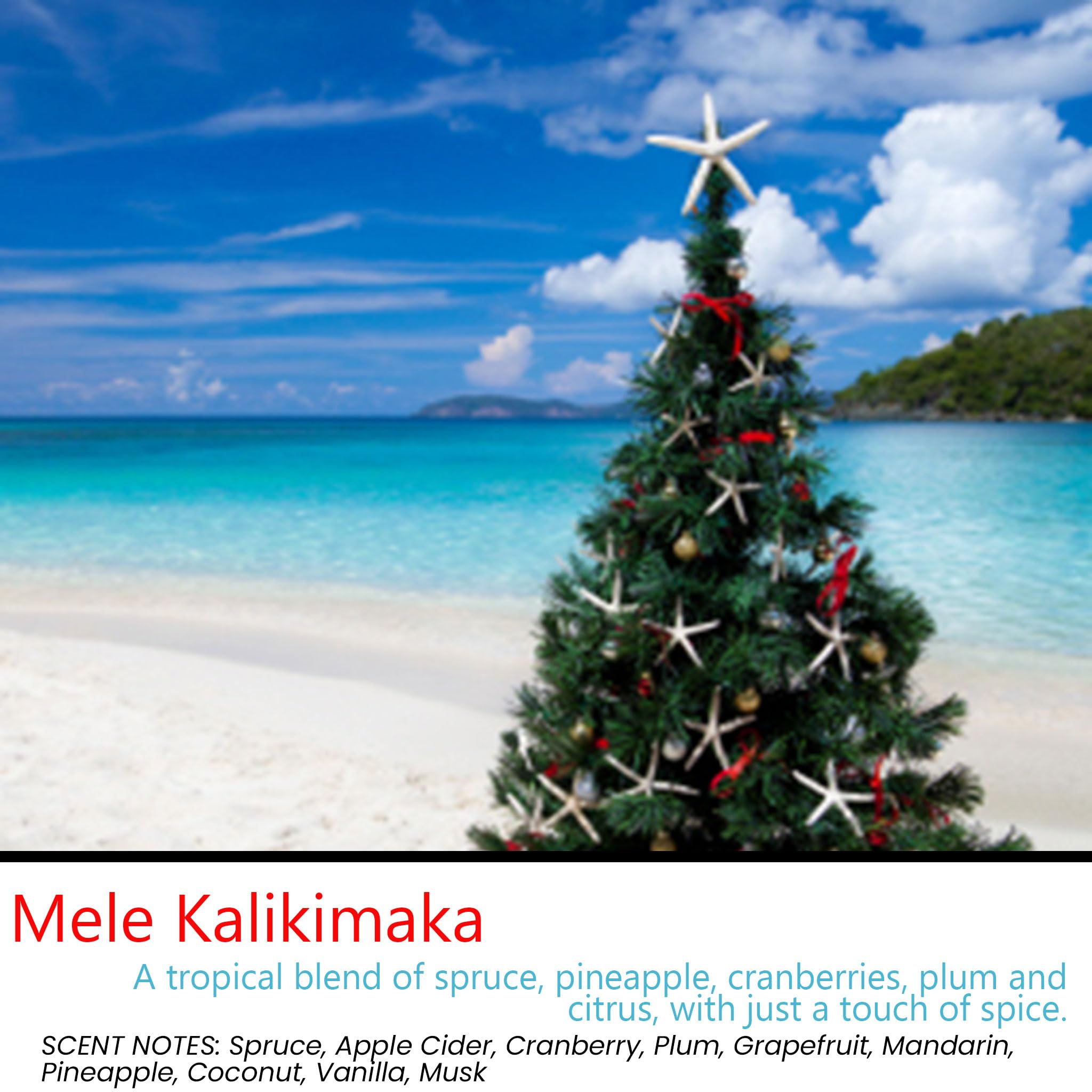 Mele Kalikimaka Scented Tealight Candles - 12 Pack Soy Beeswax Blend - Handmade in USA - Holiday Christmas Candles for Home Decor, Gifts & Relaxation - Candeo Candle