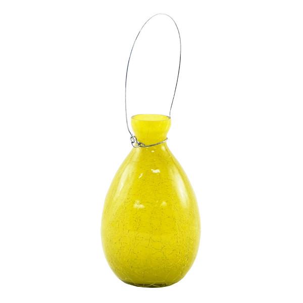 Achla Designs Rooting Vase - Clear Glass Plant Propagation Vase for Herbs, Flowers & Cuttings | Perfect for Indoor Gardening, Home Decor & Gift Giving