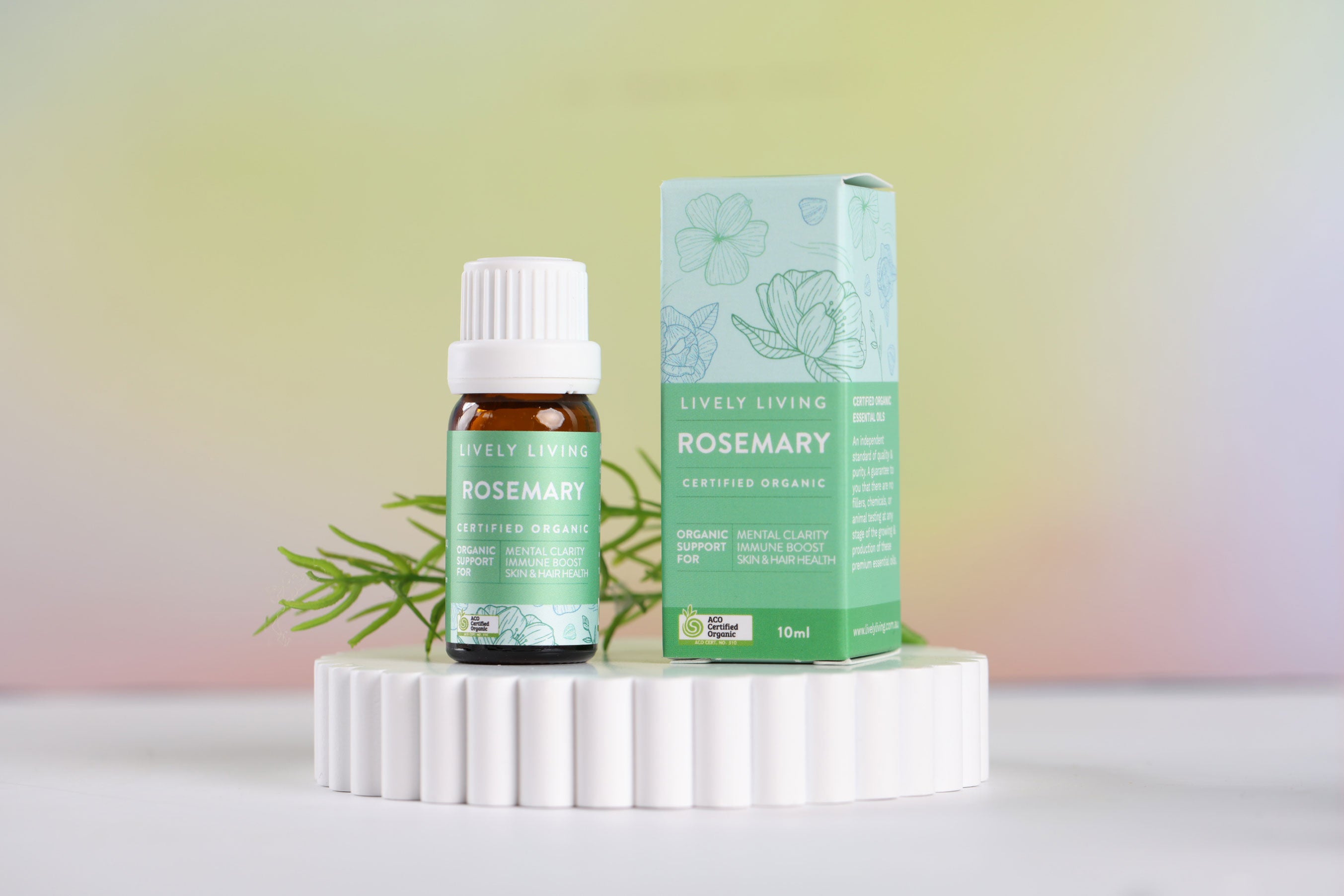 Certified Organic Rosemary Essential Oil - 10ml Pure & Natural for Aromatherapy, Hair Care & Relaxation - Perfect for Diffusers, Massage & DIY Skincare