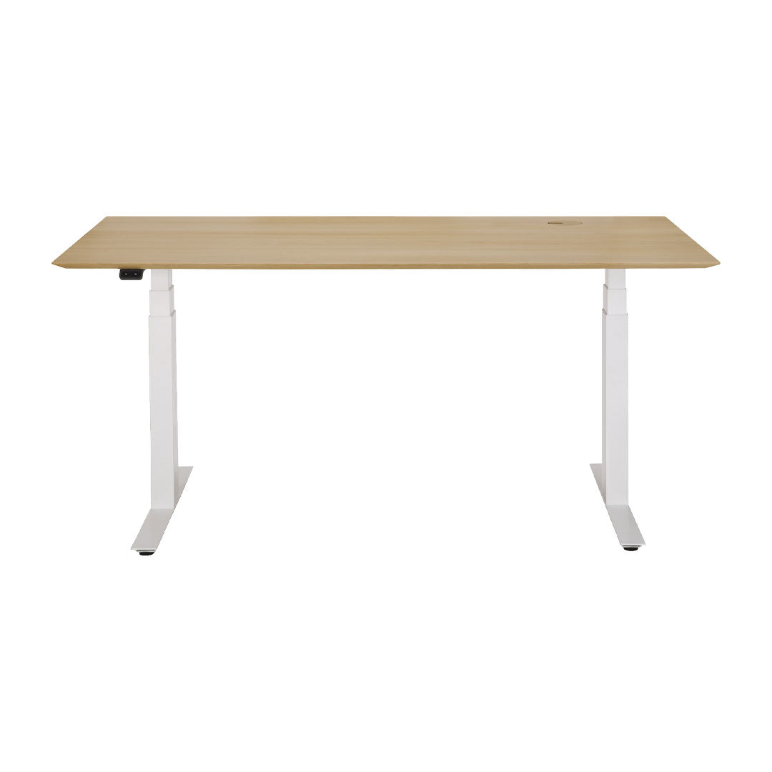 Adjustable Standing Desk - Ergonomic Height Adjustable Computer Desk for Home & Office - Perfect for Work from Home, Gaming & Study
