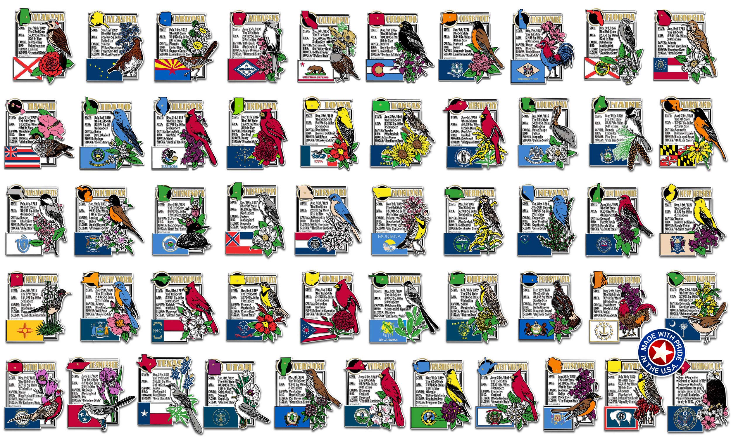 Classic Magnets USA State Souvenir Set - 51-Piece Collectible U.S. State Magnet Collection for Refrigerators, Office Decor & Travel Memories | Made in America