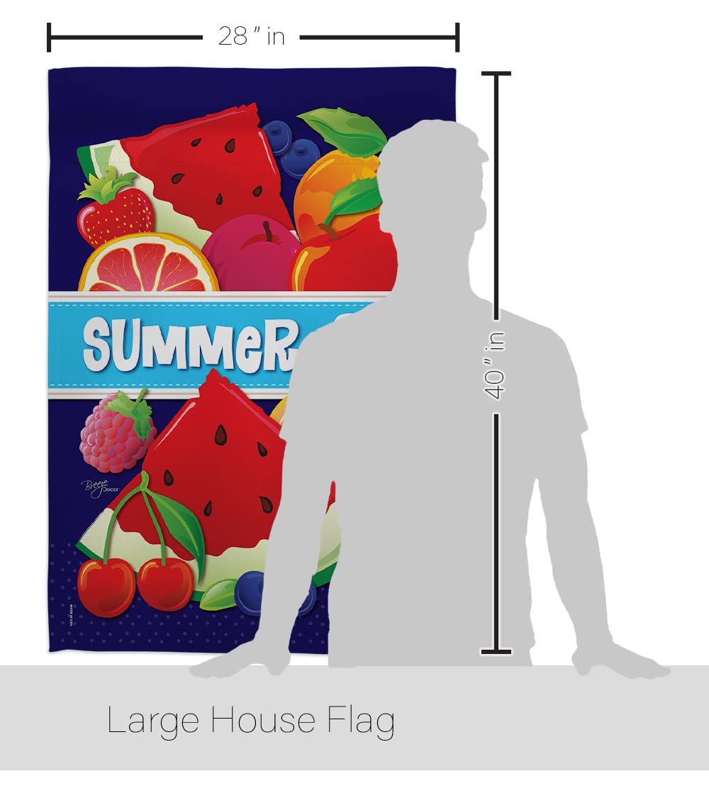 Summer Fun Vertical House Flag Set 28x40in w/Flagpole - Outdoor Decor