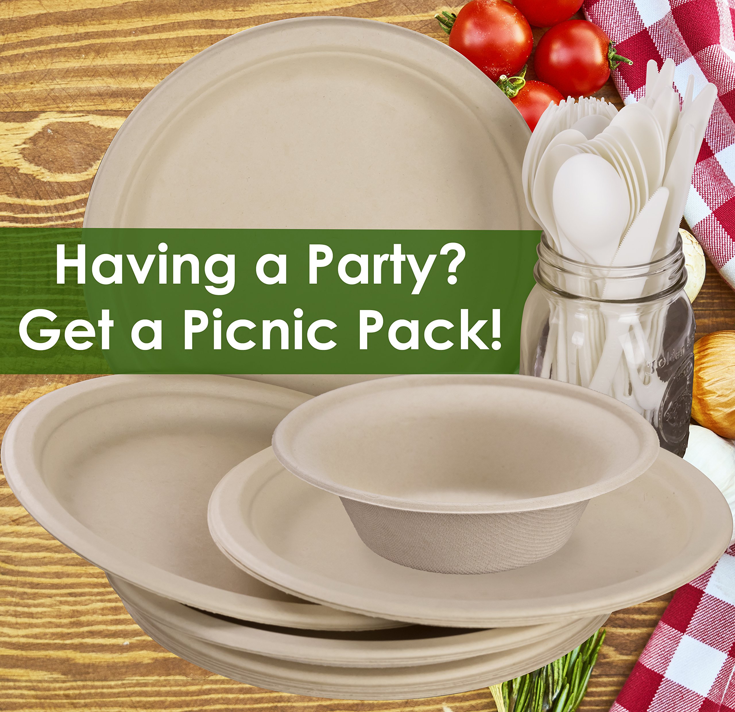 Eco-Friendly 9 Inch Biodegradable Wheat Straw Plates - 25 Pack | Certified Compostable, Microwave Safe, Gluten-Free | Perfect for Parties, Picnics & Sustainable Dining