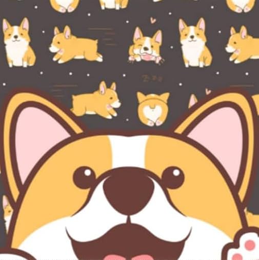 Corgi