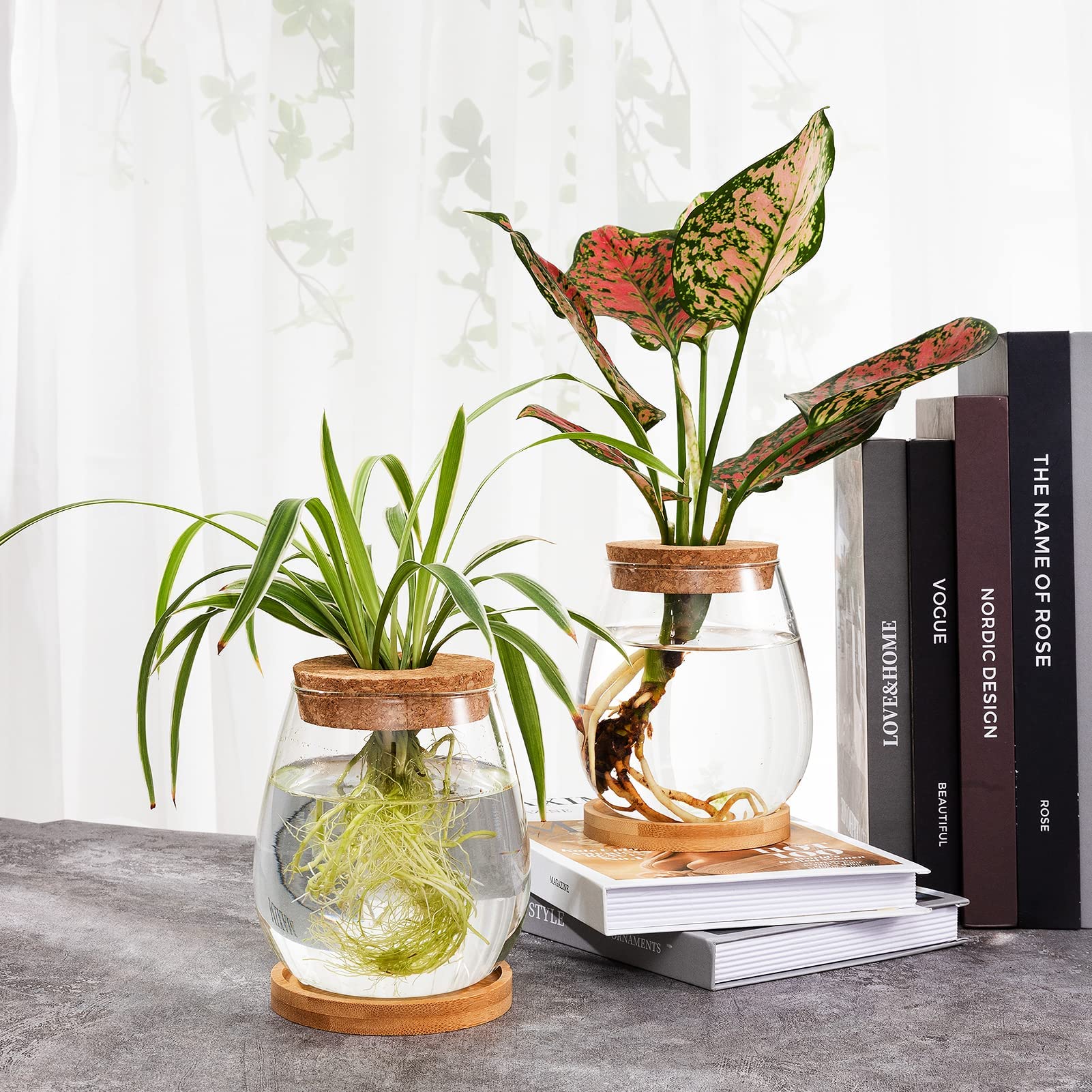 2-Pack Glass Hydroponic Propagation Station - Water Drop Shaped Plant Terrarium with Separated Tray, Indoor Gardening Gifts for Women & Plant Lovers - Perfect for Windowsill Decor, Herb Growing, and Home Office Plant Propagation