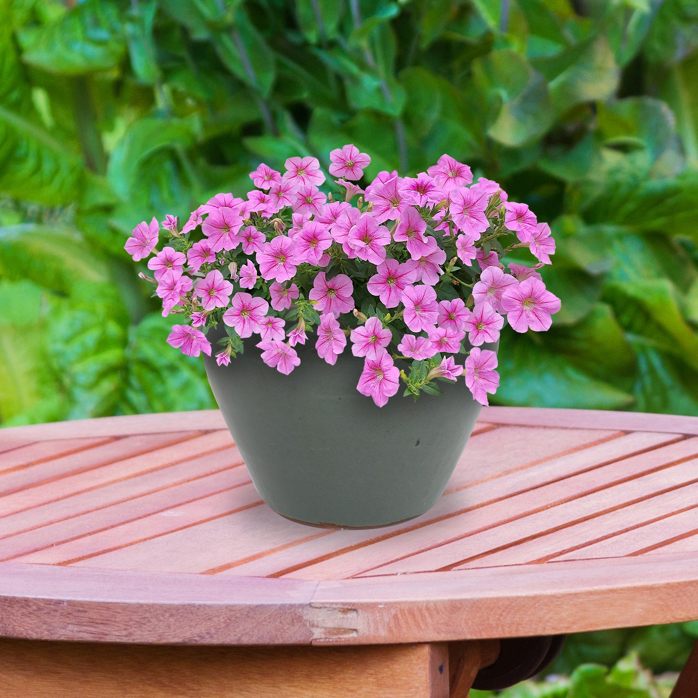 Sunnydaze Chalet Round Glazed Ceramic Planter with Drainage Hole - Outdoor Garden Flower Pot for Patio, Balcony & Home Decor