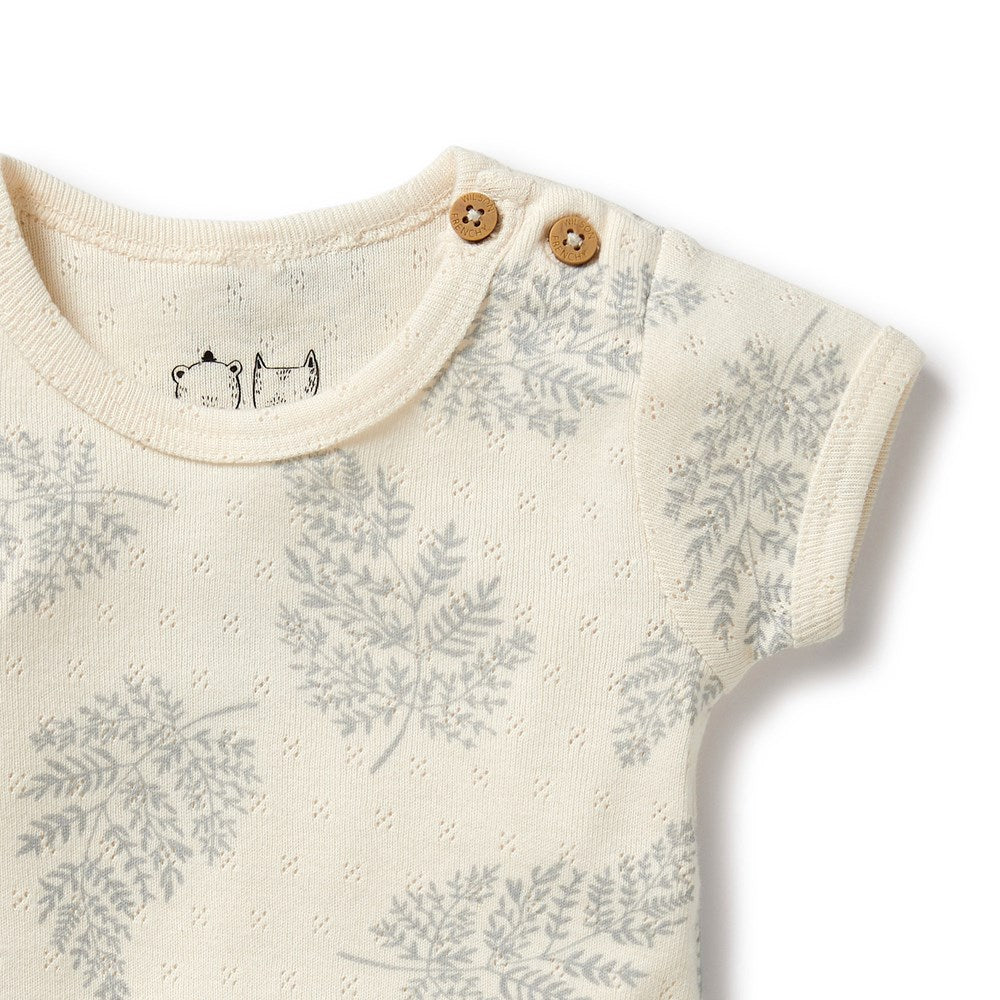 Forever Ferns Organic Pointelle Bodysuit - Soft Cotton Baby Onesie for Newborns & Infants - Perfect for Everyday Wear, Photo Shoots & Special Occasions