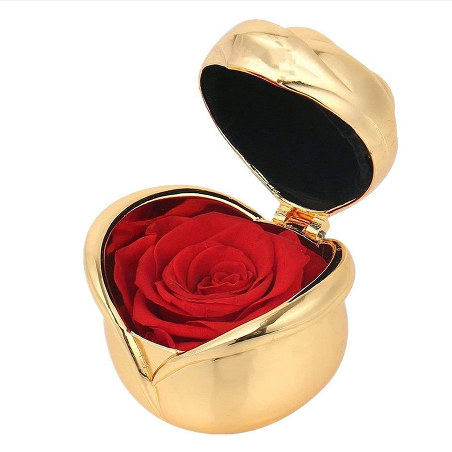 Eternal Preserved Rose Bouquet - Luxury Real Touch Flowers for Valentine's Day, Mother's Day, Anniversary & Birthday Gifts - Perfect Romantic Present for Women, Wife & Girlfriend - Home Decor & Wedding Centerpiece