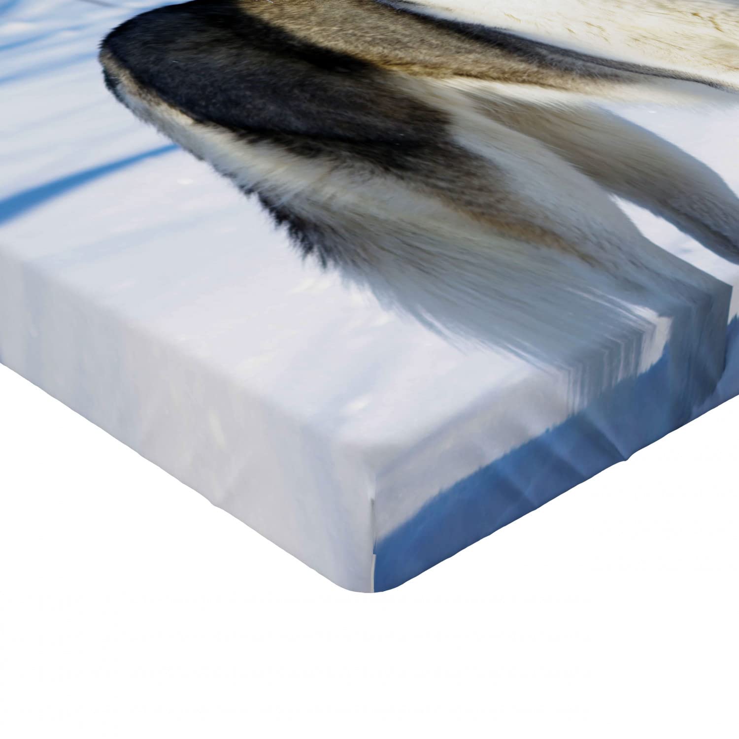 Ambesonne Alaskan Malamute Fitted Sheet - Queen Size, Black White Blue - Cozy Bed Cover for Winter