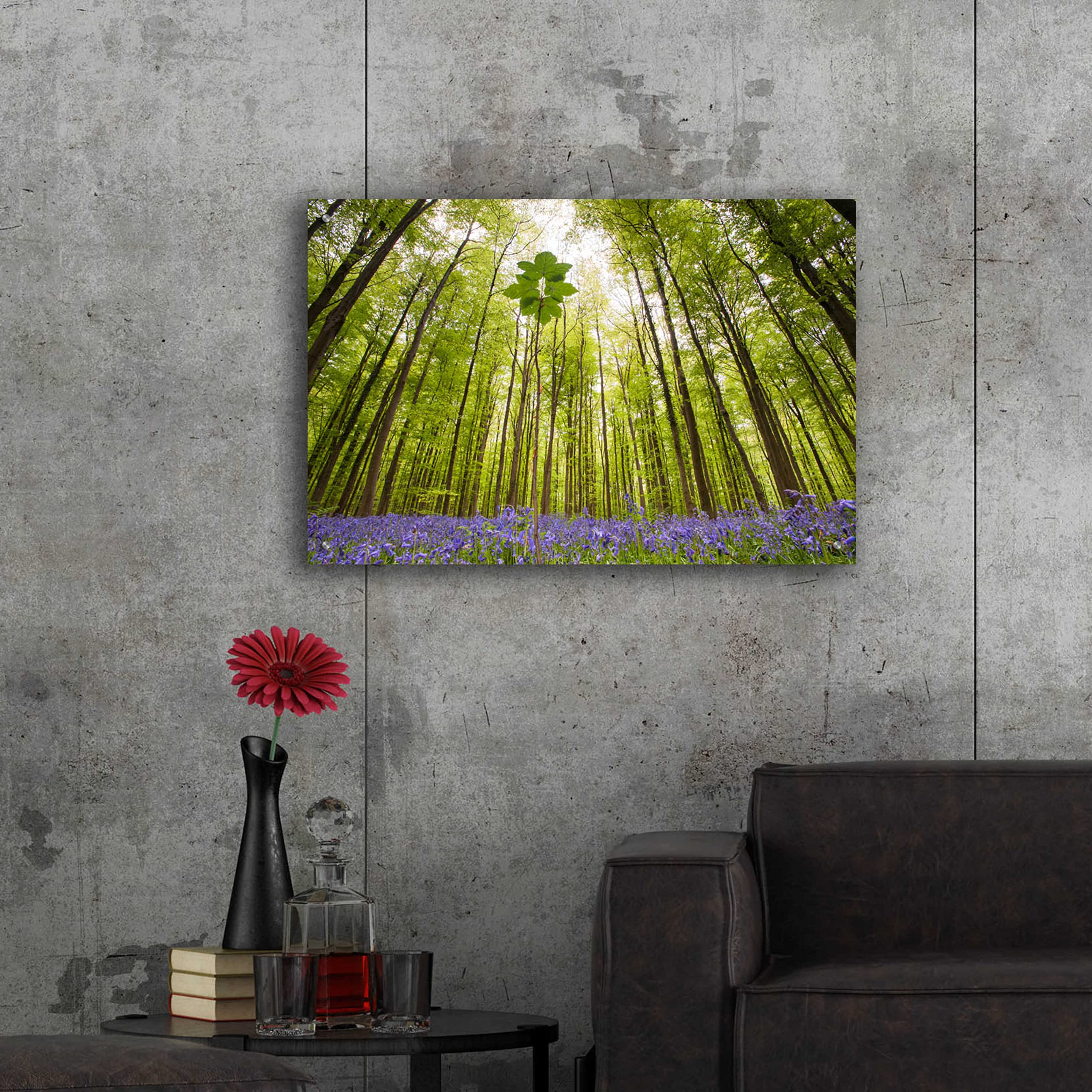 Epic 'Hallerbos' Forest Art Print by Wilco Dragt - 36x24 Inch Acrylic Glass Wall Decor - Modern Nature Landscape Painting for Living Room, Bedroom & Office
