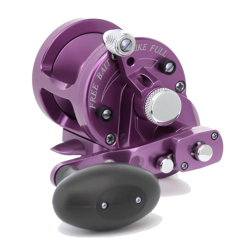 Avet G2 SX 6/4 Two Speed Magic Cast Fishing Reel - Saltwater & Freshwater Fishing Gear for Offshore & Inshore Angling - Perfect for Trolling, Casting & Bottom Fishing