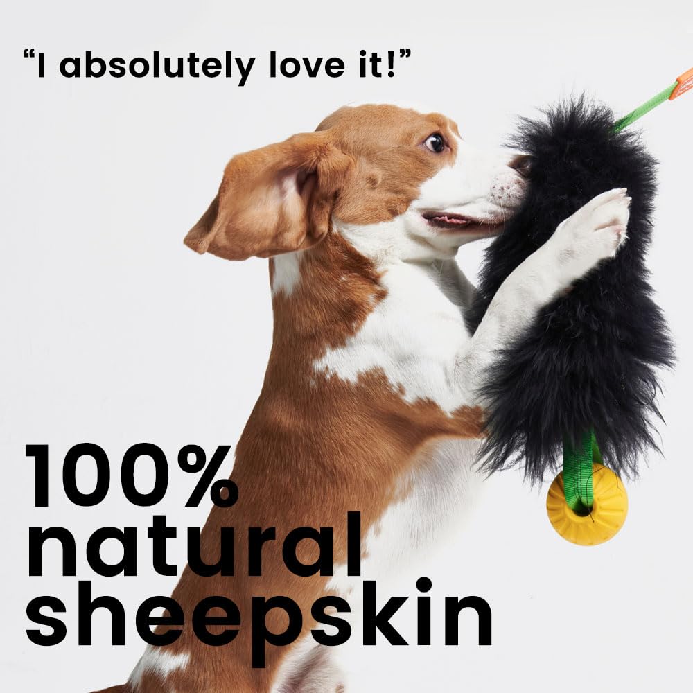 HOWGO Dog Rope Toy - 100% Natural Sheepskin Chew Toy with Authentic Sheep Smell, Durable Bungee Chaser Tug Toy for Small Medium Large Dogs - Perfect for Fetch, Training & Interactive Play (Purple, Long Without Ball)