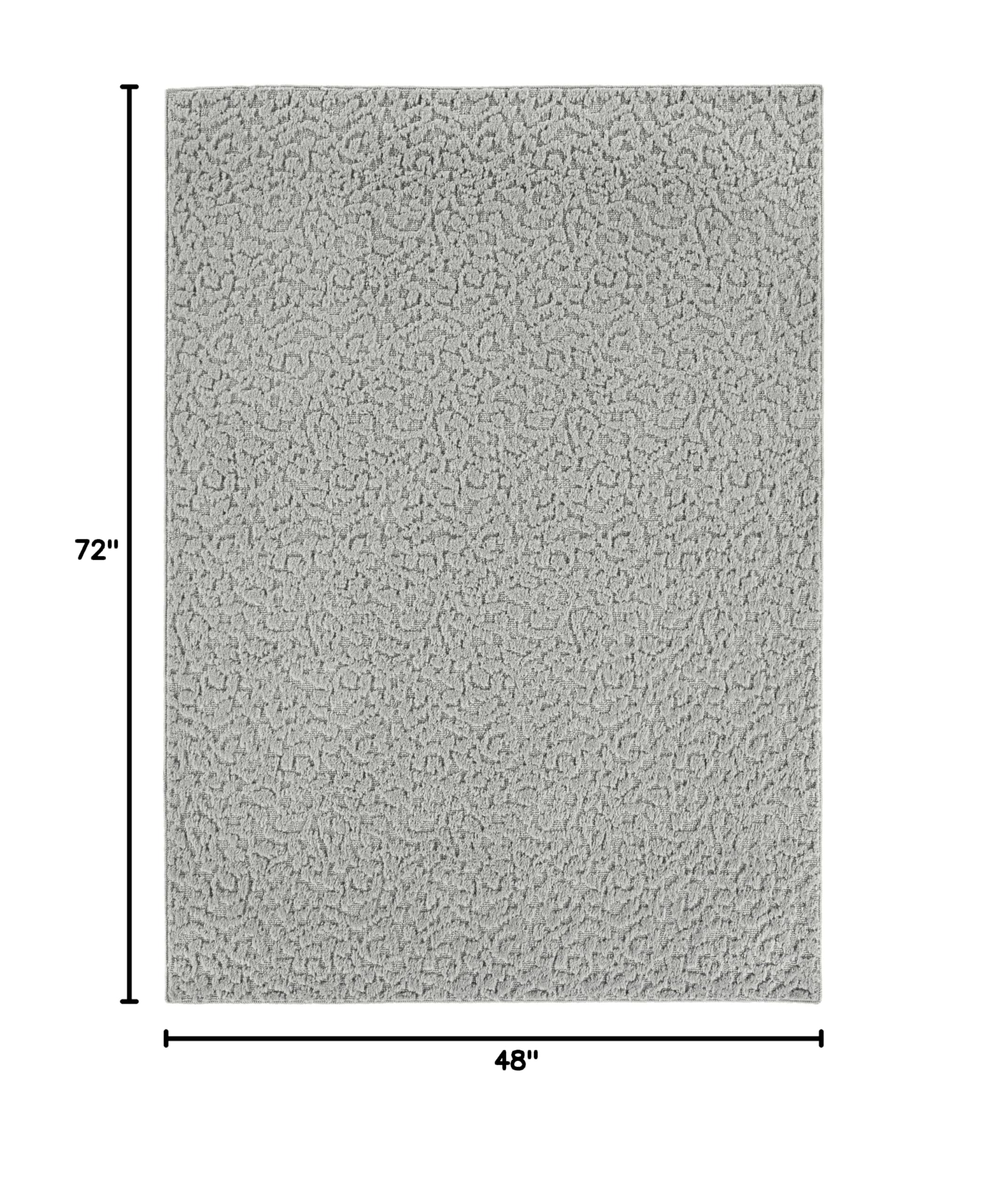 Garland Rug Ivy 4x6 Feet Silver Area Rug - Soft Non-Slip Living Room Rug for Bedroom, Dining Room & Home Decor