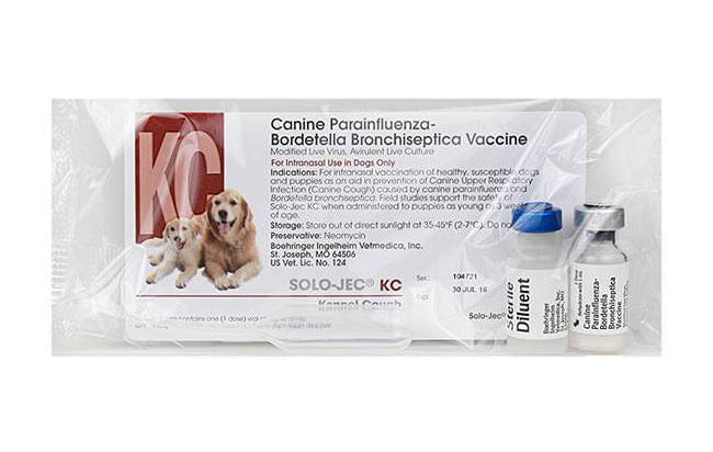 Complete Puppy Vaccine Kit for Dogs - Essential Vaccination Set for Puppy Health & Wellness | Perfect for New Pet Owners & Vet Visits