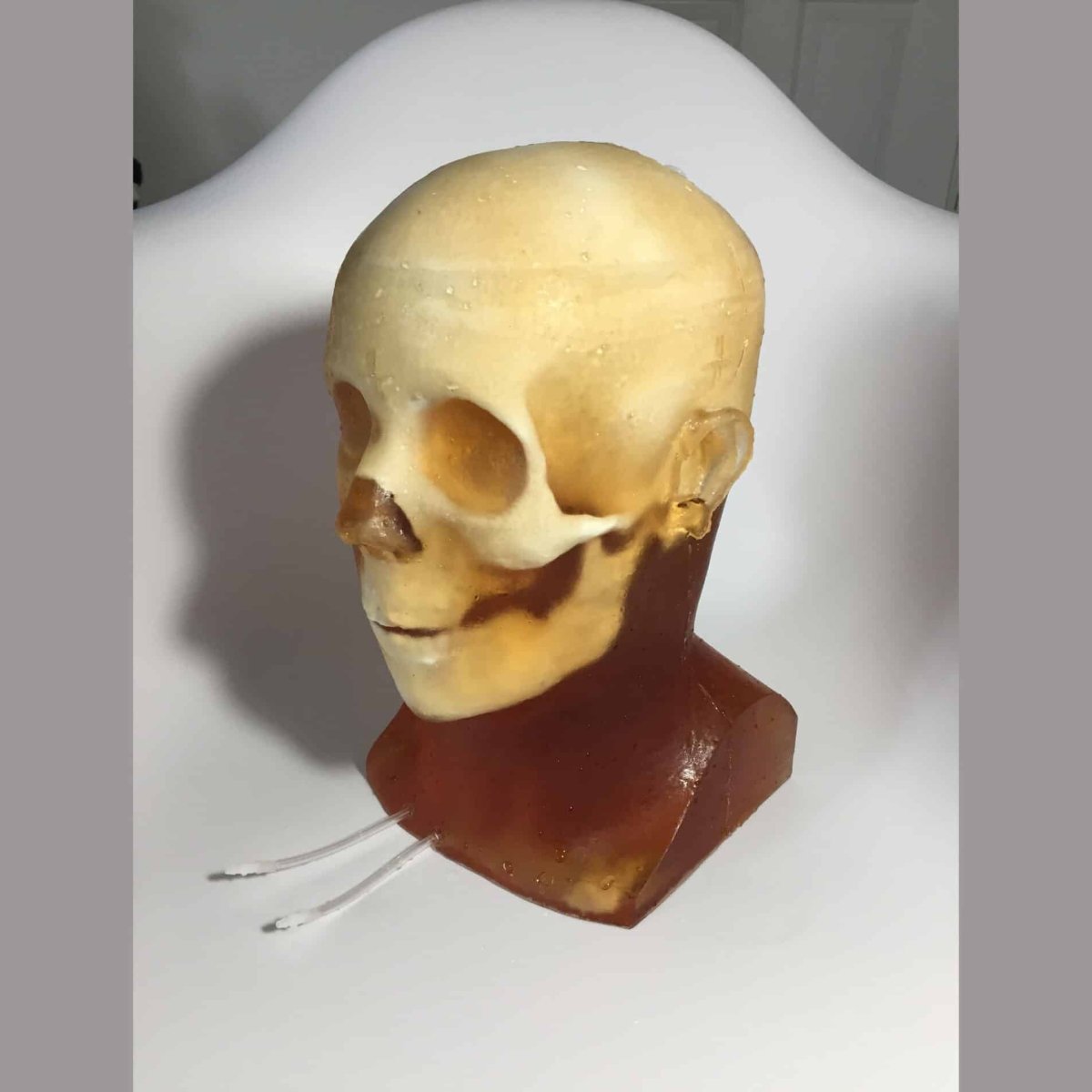 Hematoma Adult Head Phantom for X-Ray, CT, Ultrasound & MRI Training - Medical Imaging Practice for Radiology Students and Professionals