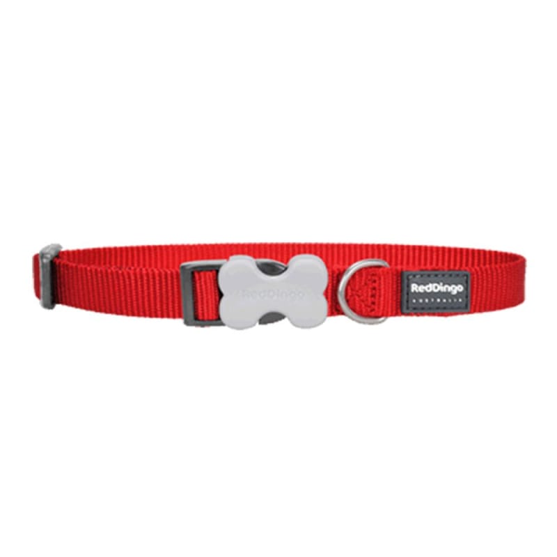 Red Dingo Bucklebone Classic Red Dog Collar - Adjustable Nylon Pet Collar with Metal Buckle (4 Sizes: XS, S, M, L) - Perfect for Daily Walks, Training & Outdoor Adventures