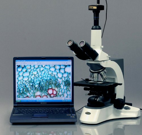 AmScope 3MP USB 2.0 Digital Microscope with Software for PC - High Resolution Imaging for Coin Collecting, Jewelry Inspection & Science Education
