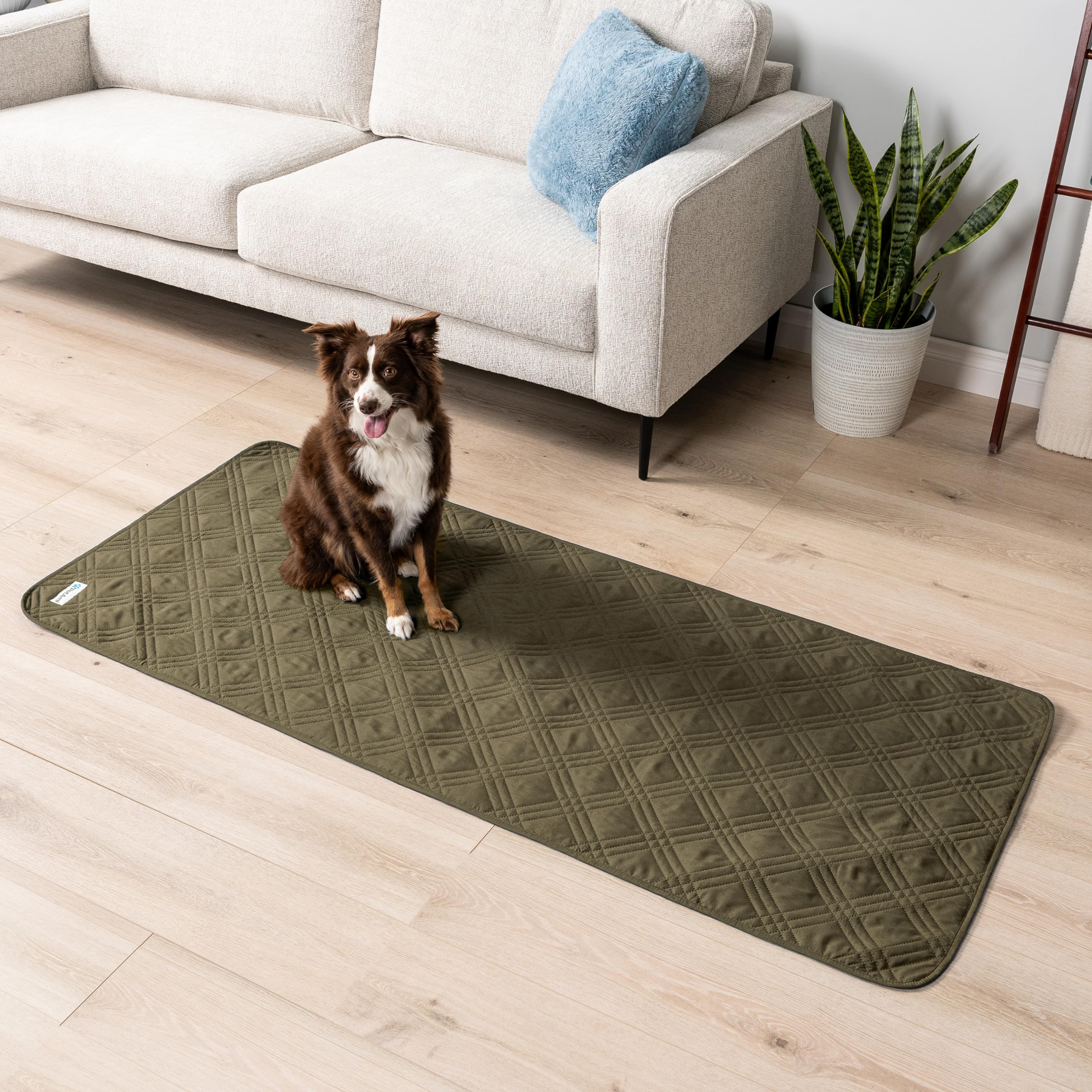 **PetAmi Waterproof Reversible Dog Couch Cover - 30x70 Inch Washable Sofa Protector for Pets, Green | Furniture Protector for Dogs & Cats | Perfect for Couches, Beds & Car Seats**
