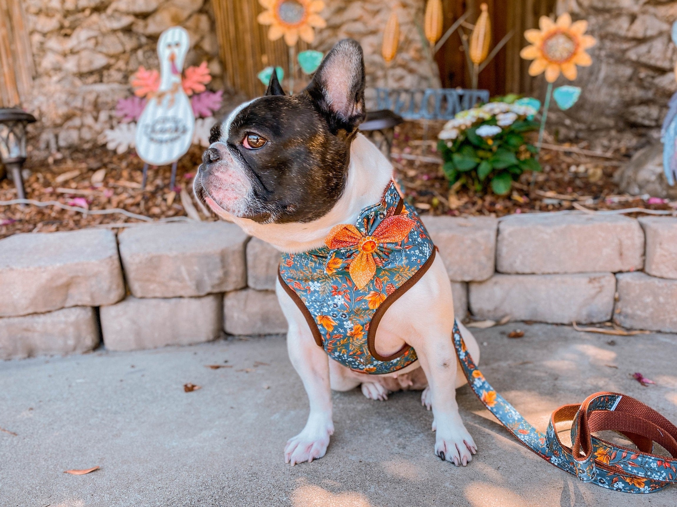 Durable Autumn Leaves Dog Harness with Brown Trim - Adjustable Pet Vest for Small, Medium & Large Dogs - Perfect for Walking, Hiking & Outdoor Adventures