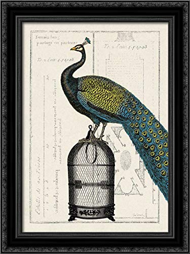 Canvas Art in a Black Ornate Wood Frame