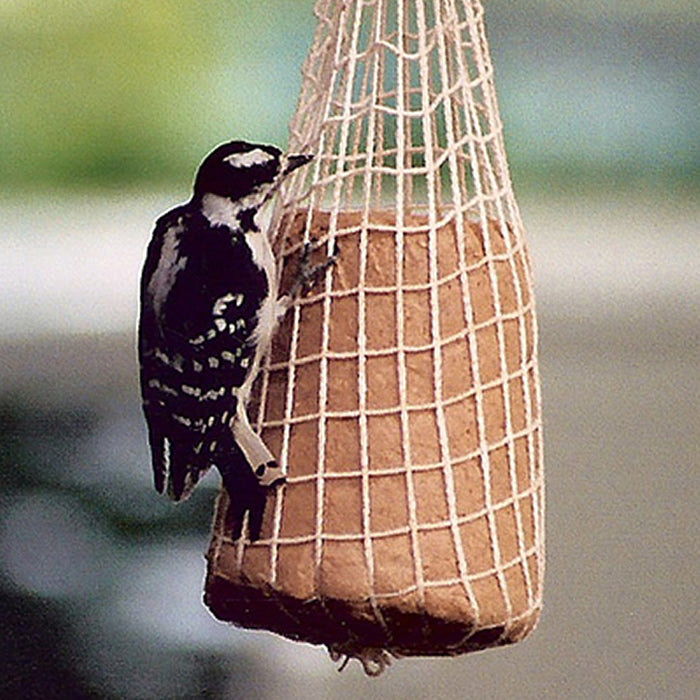 No Melt Peanut Butter Suet Bell - Set of 3 for Bird Feeding | Attracts Wild Birds Year Round | Perfect for Backyard, Garden & Outdoor Bird Watching
