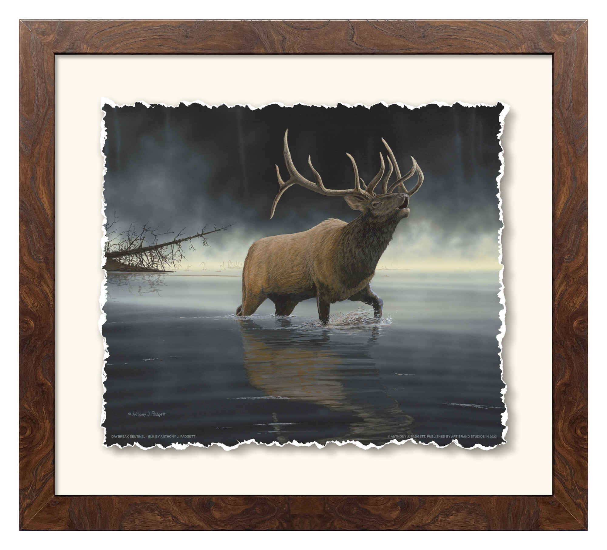 Daybreak Sentinel Elk Hunting Gear - Premium Outdoor Equipment for Elk Hunting & Wildlife Observation | Perfect for Camping, Hiking & Nature Exploration