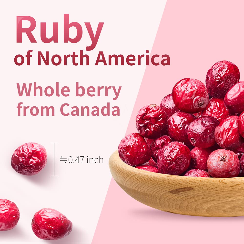 Premium Freeze Dried Cranberries Snacks - Sweet & Tart All-Natural Dried Fruit, Grade A Whole Canadian Cranberries, Gluten-Free Healthy Snacks for Adults & Kids, 0.7oz Individual Packs (6-Pack) - Perfect for Lunchboxes, Hiking & On-the-Go Snacking