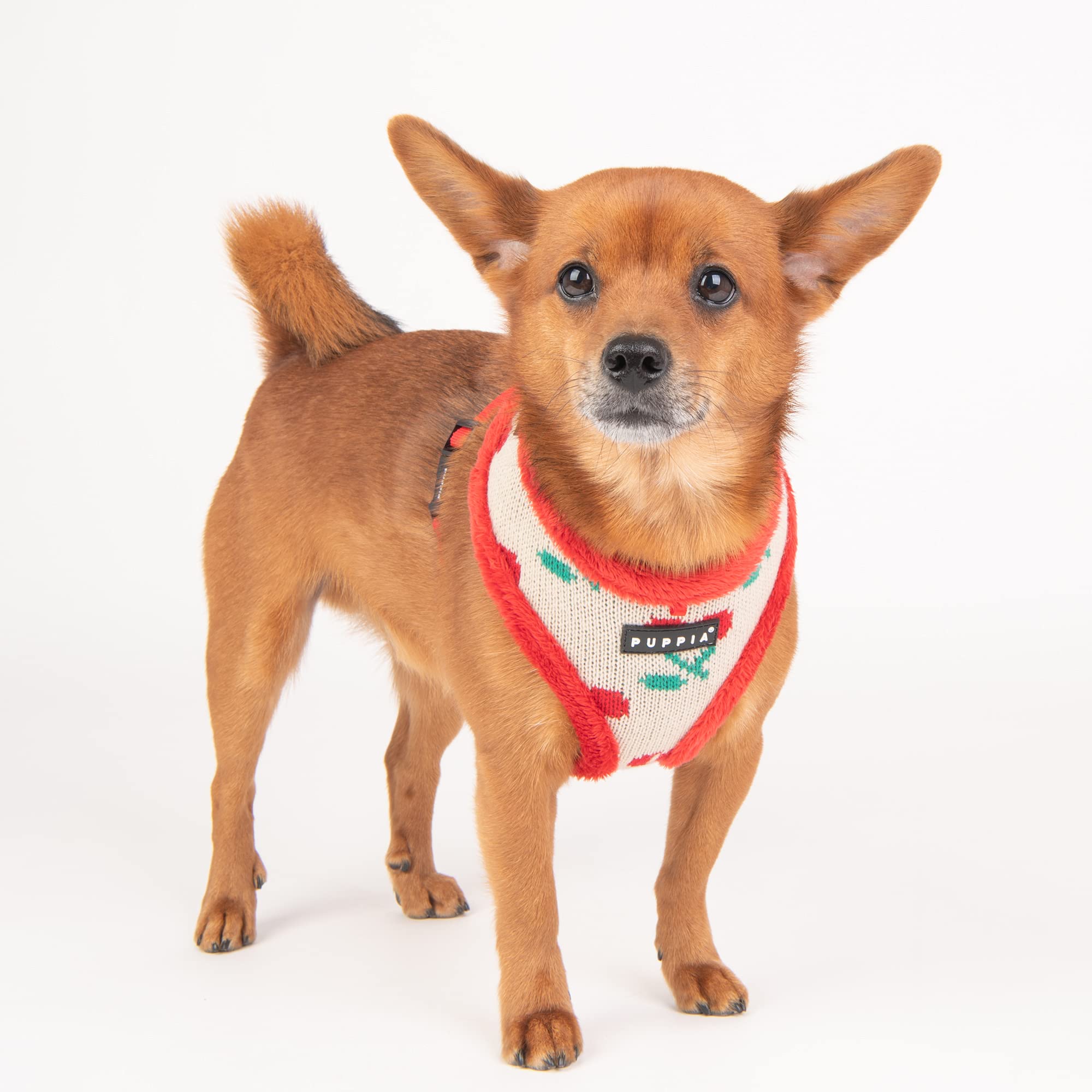 Puppia Cheryl Harness A - Red - Small | Adjustable Dog Harness for Small Dogs | Perfect for Walking, Hiking & Outdoor Adventures