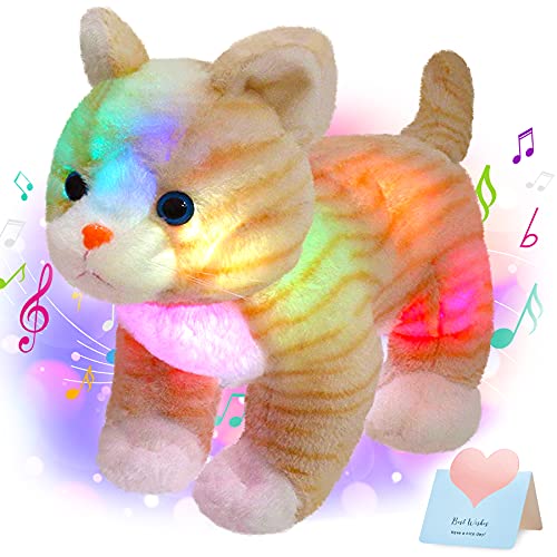 Orange Cat